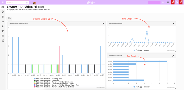 Maximize Efficiency with Gingr's Reporting Features