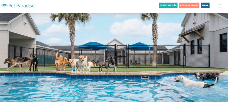 Must Haves for Your Dog Boarding and Kennel Website