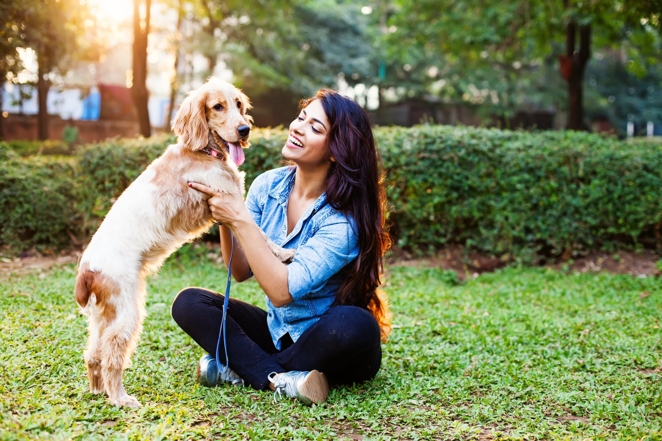 dog daycare software