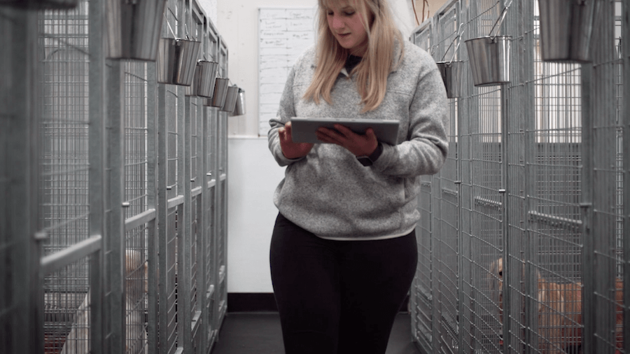  This image of a woman working dog boarding facility represents how our kennel software can improve operations. 