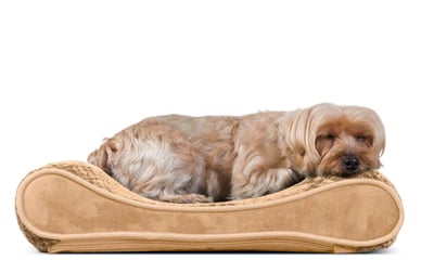 FurHaven — Pet Bed