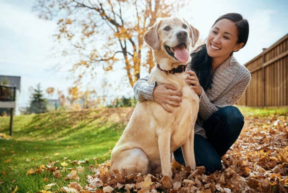 A pet and their owner sit together outside