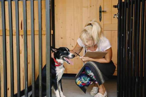 A kennel worker pets a dog