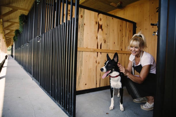 This image of a dog and a dog boarding employee illustrate the features of dog boarding software.