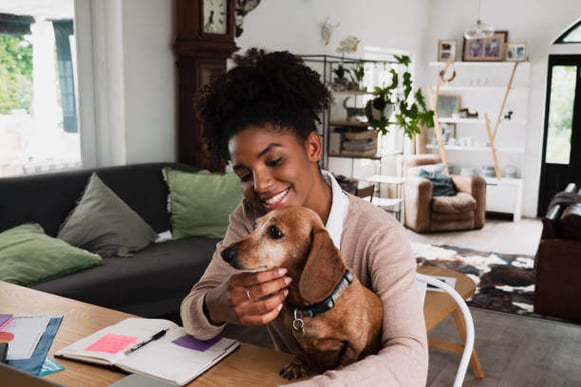 A woman pets a dog while sitting at a desk