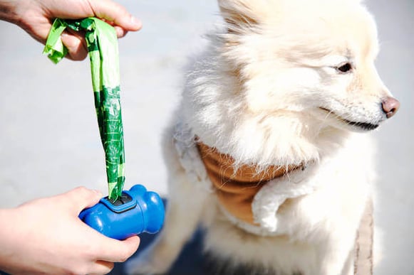 A person pulls a dog waste bag out of a leash dispenser.