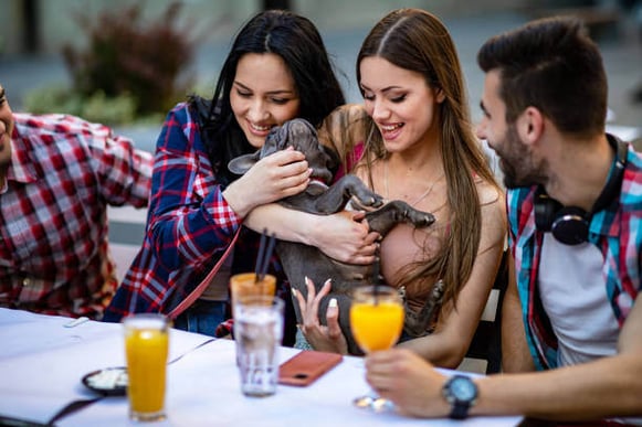 A woman holds a dog while other people sit next to her drinking drinks