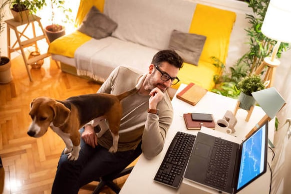 A person looks at an open laptop as a dog stands on their lap