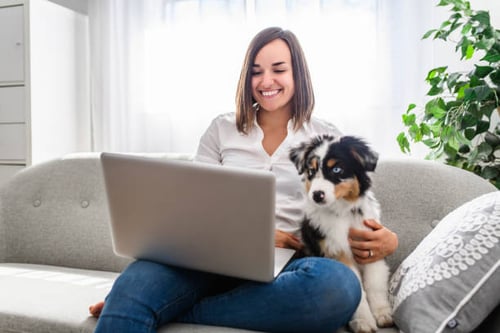 The Impact of Local Search and SEO on Pet-Care Businesses 