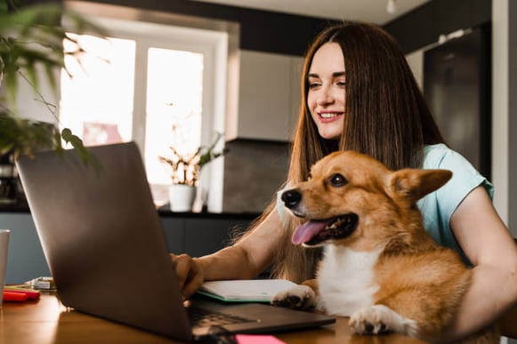 A woman uses a laptop as a dog sits on her lap