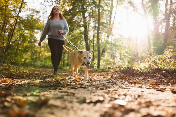 A dog and person walk outside