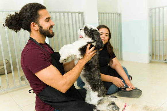 A man plays with a dog inside