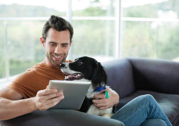 How Loyalty Programs Can Boost Your Pet-Care Business