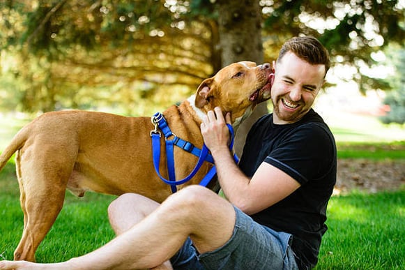 A dog licks a man as they sit outside