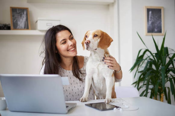 A woman uses a laptop as a dog sits on her lap