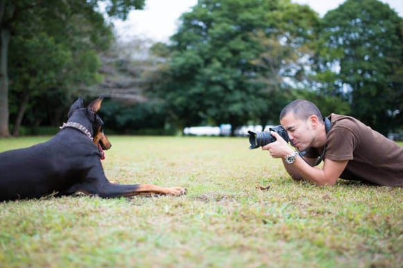 A person uses a camera to take a photo of a dog laying down on grass outside